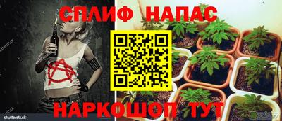 мдпв Тула