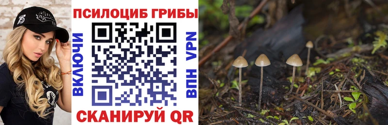 Псилоцибиновые грибы MAGIC MUSHROOMS  mega ссылки  Ангарск 