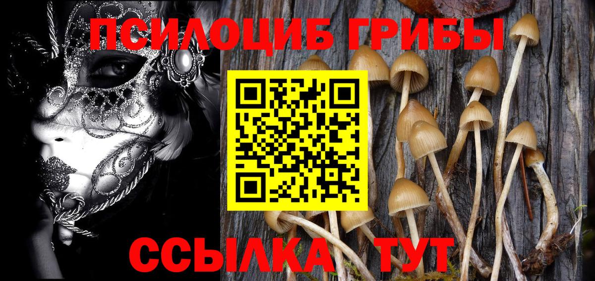 Ангарск  Галлюциногенные грибы Magic Shrooms  Вход с VPN 